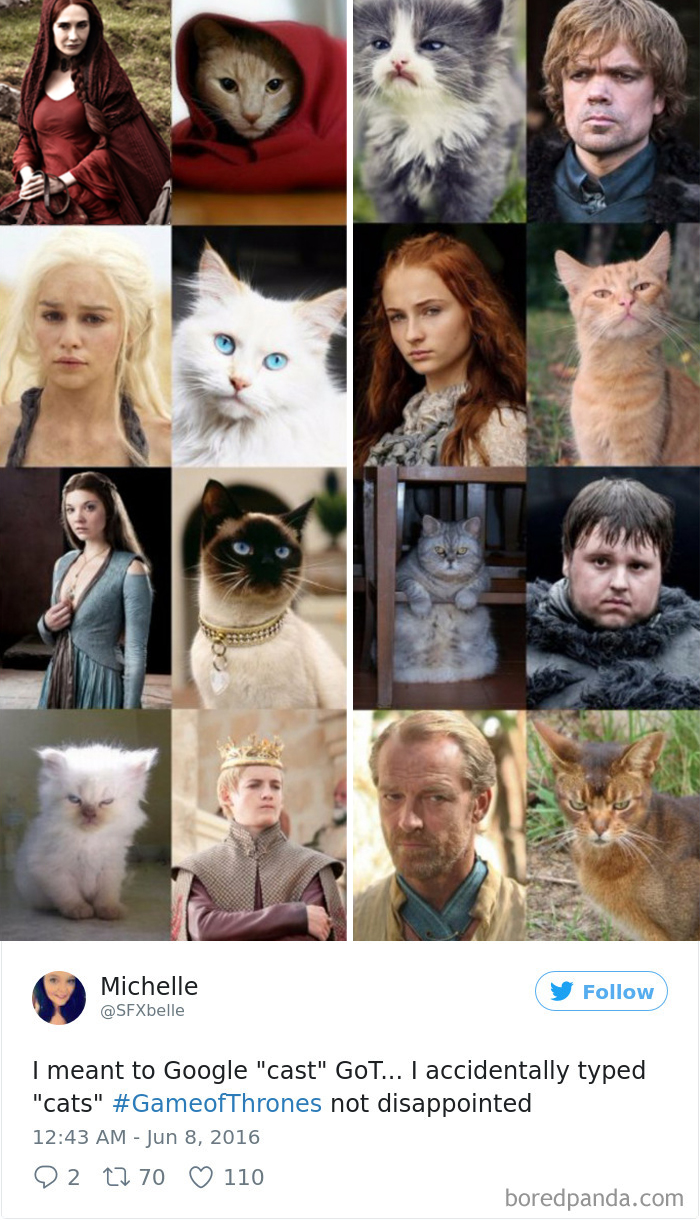 Funny-Accidental-Google-Searches