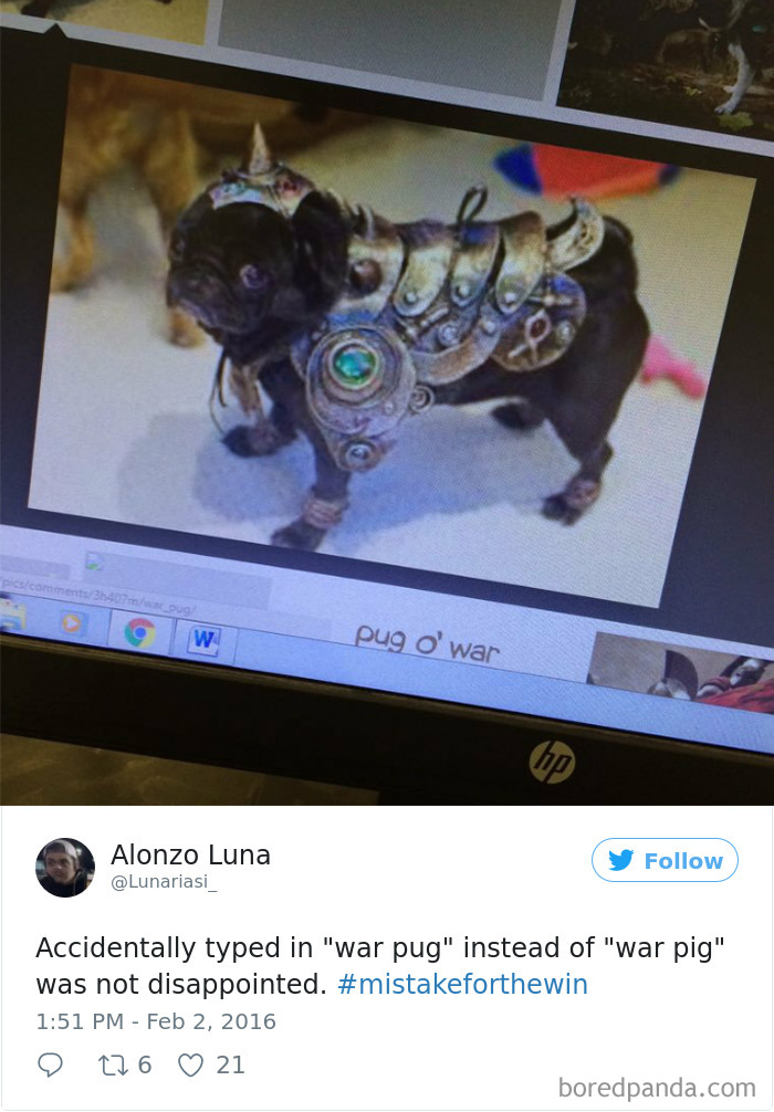 Funny-Accidental-Google-Searches