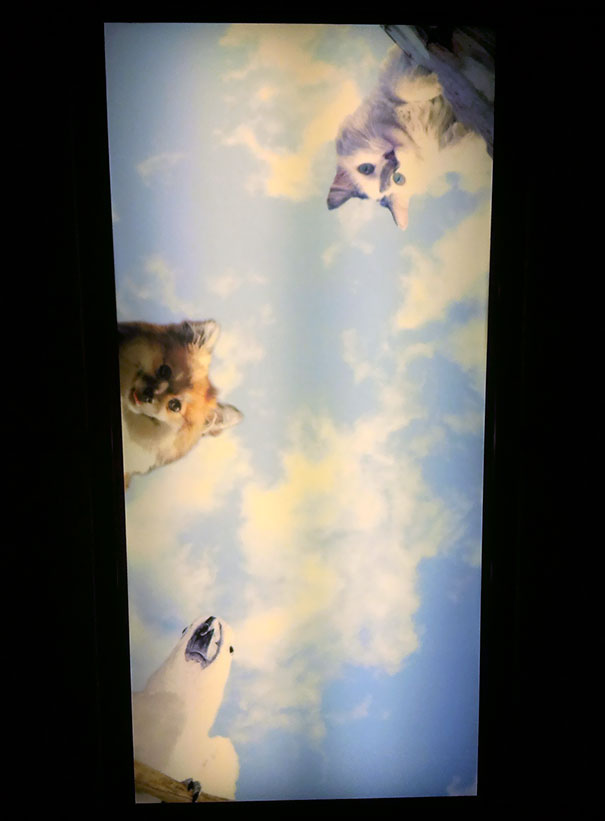 Leaned Back In The Dentist Chair Today And Saw This