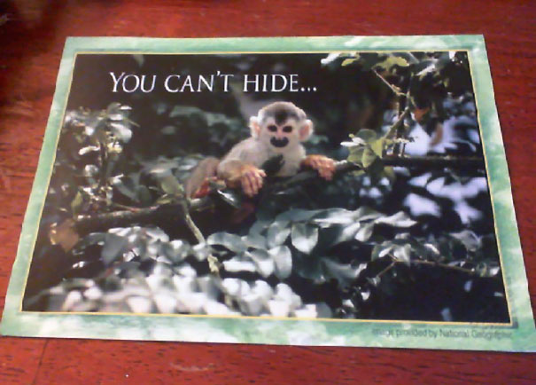 My Husband Got This Postcard In The Mail From His Dentist. Time To Find A New Dentist