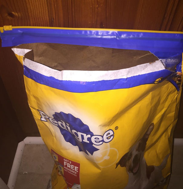 My Mother-In-Law Stopped By And Fed The Dog