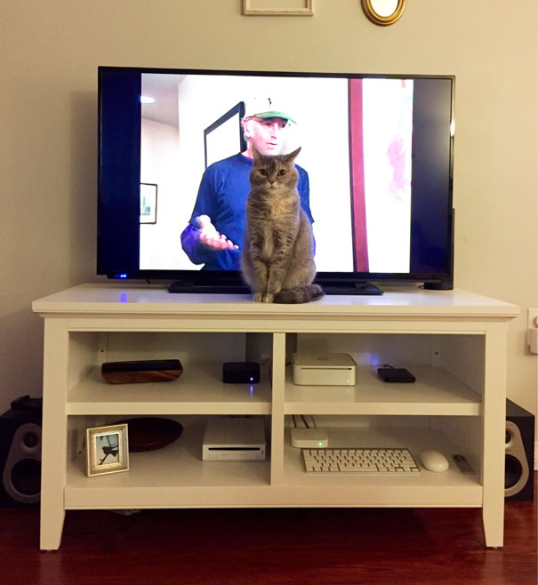 She Always Has To Be The Center Of Attention