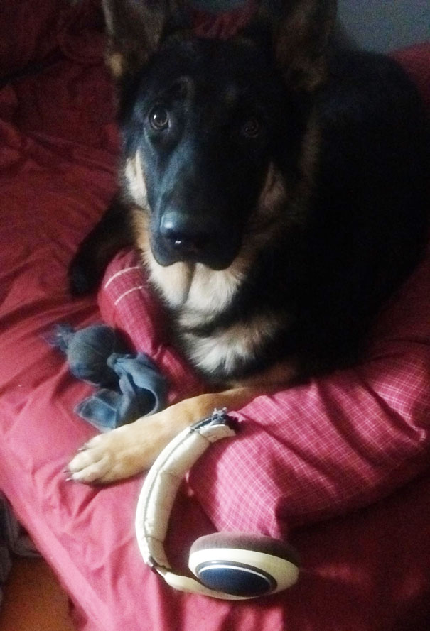 No, I Didn't Want To Listen To Music Or Anything