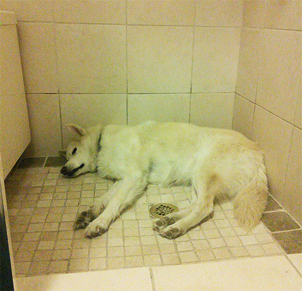 My Jobless Roommate Who Doesn't Pay Rent Keeps Hogging The Shower In The Mornings. Look At The Smug Jerk