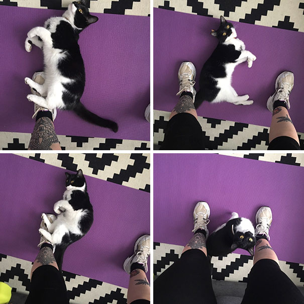 This Happens Every Time I Try To Do Cardio