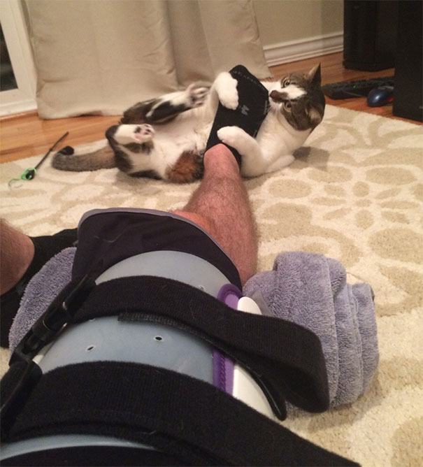 I Just Had Surgery And Need To Do My Physical Therapy