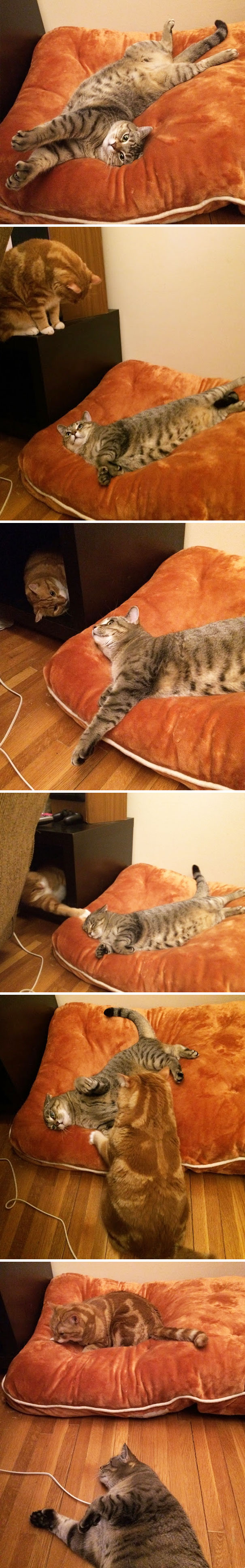 "You're In My Spot." A Short Story