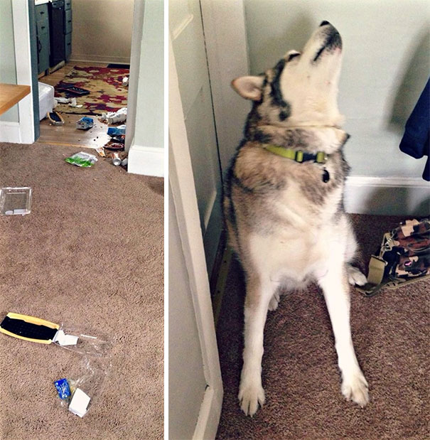 It's His 11th Birthday Today And He Is Still A Jerk