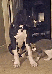 Love You. Asshole. Love You