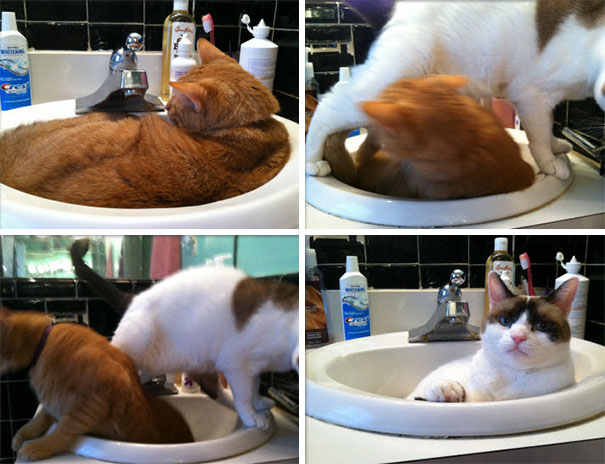 A Story In 4 Pictures