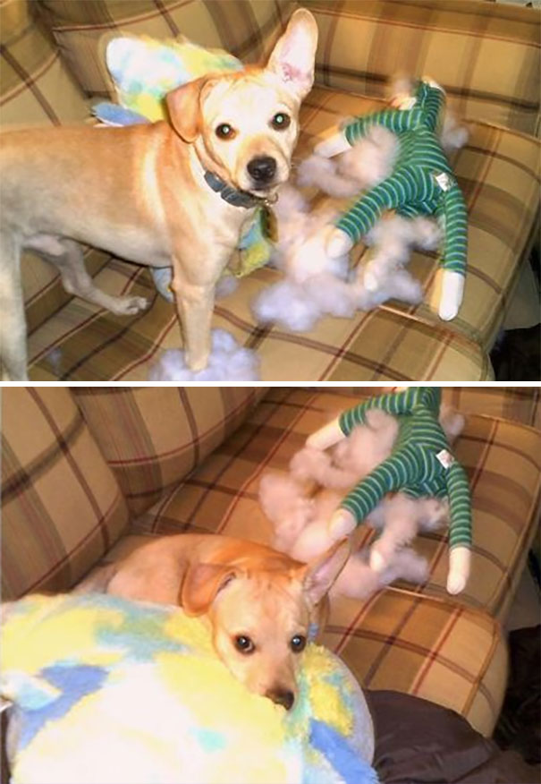 Jack Caught In The Act & Feeling Guilty