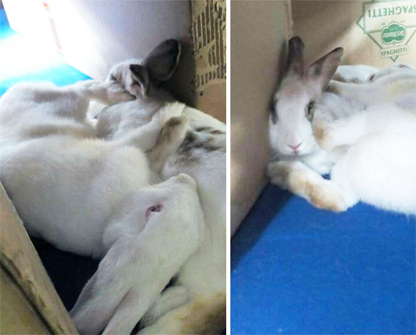 When She Has No Concept Of Personal Space, But Still Love Her