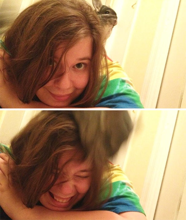 Chinchillin’ One Minute - Launching Herself Off My Head The Next