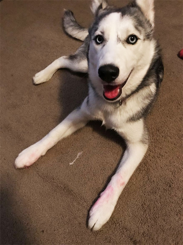 I Haven't Seen Your Pink Highlighter