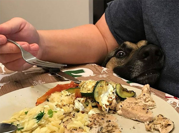 She Doesn't Think We'll Notice Her