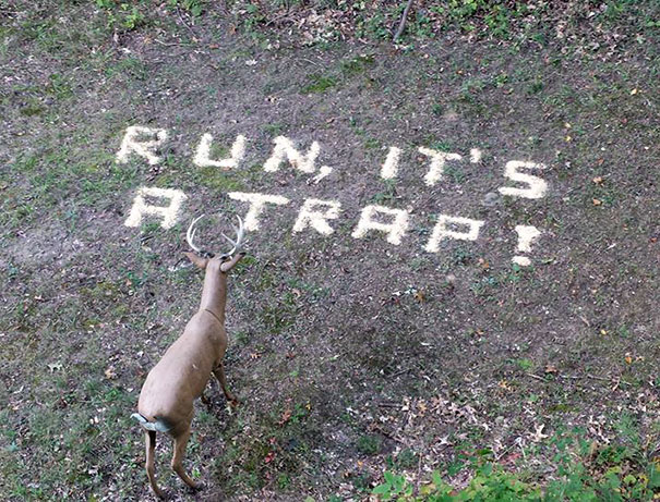 My Aunt Asked My Uncle To Put Some Corn Down For The Deer