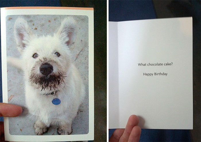 Funny-Unexpected-Greeting-Cards