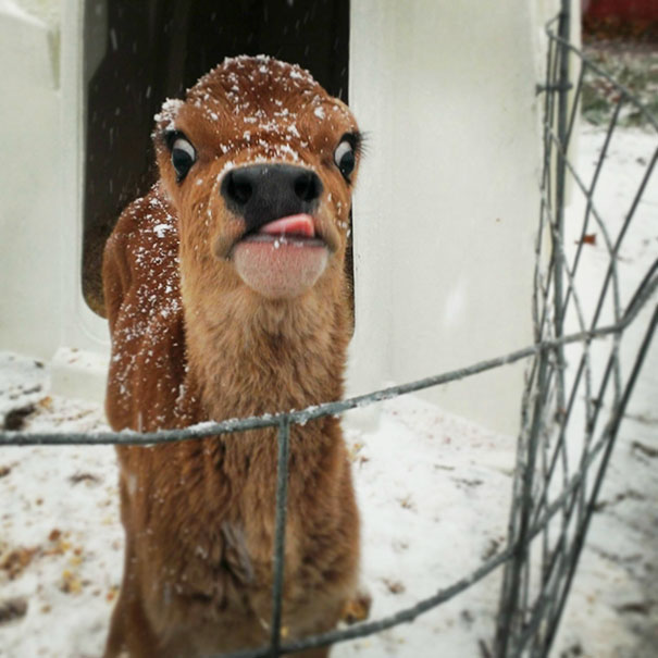 When Your Waiter Walks By Your Table With Food But It's Not Yours