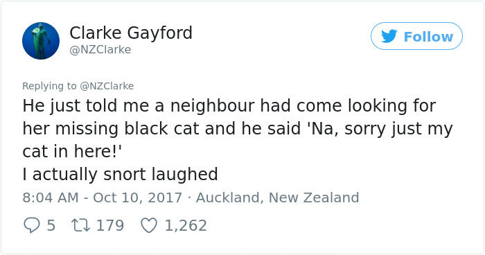 Man Accidentally Kidnaps Neighbour's Cat Thinking It Was His, And It Escalates Hilariously Man Accidentally Kidnaps Neighbour's Cat Thinking It Was His, And It Escalates Hilariously