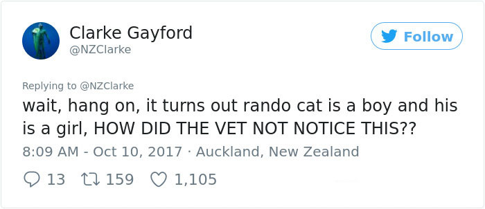 Man Accidentally Kidnaps Neighbour's Cat Thinking It Was His, And It Escalates Hilariously