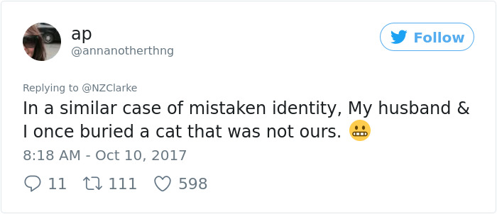 Man Accidentally Kidnaps Neighbour's Cat Thinking It Was His, And It Escalates Hilariously