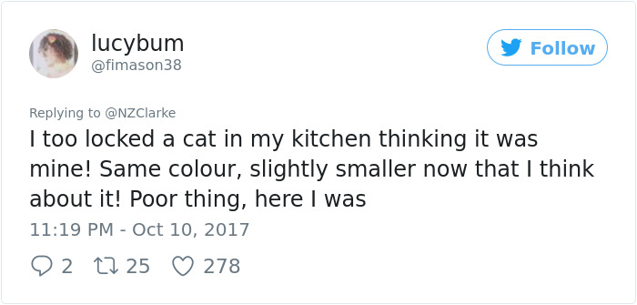 Man Accidentally Kidnaps Neighbour's Cat Thinking It Was His, And It Escalates Hilariously