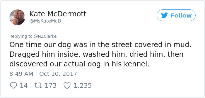 Man Accidentally Kidnaps Neighbour's Cat Thinking It Was His, And It Escalates Hilariously