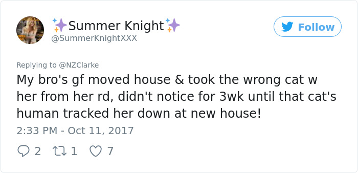 Man Accidentally Kidnaps Neighbour's Cat Thinking It Was His, And It Escalates Hilariously Man Accidentally Kidnaps Neighbour's Cat Thinking It Was His, And It Escalates Hilariously