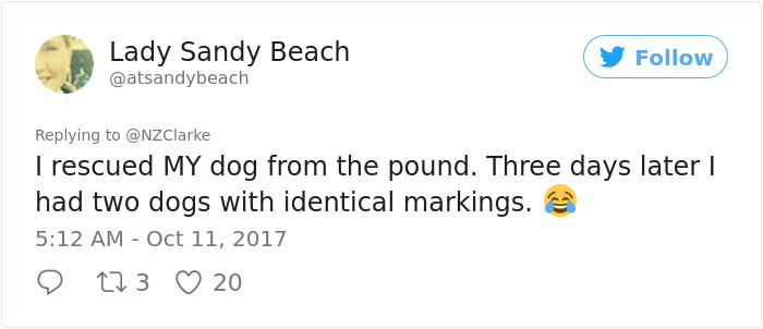 Man Accidentally Kidnaps Neighbour's Cat Thinking It Was His, And It Escalates Hilariously Man Accidentally Kidnaps Neighbour's Cat Thinking It Was His, And It Escalates Hilariously