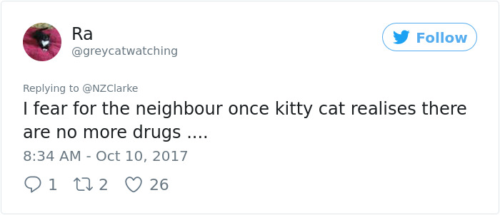 Man Accidentally Kidnaps Neighbour's Cat Thinking It Was His, And It Escalates Hilariously Man Accidentally Kidnaps Neighbour's Cat Thinking It Was His, And It Escalates Hilariously
