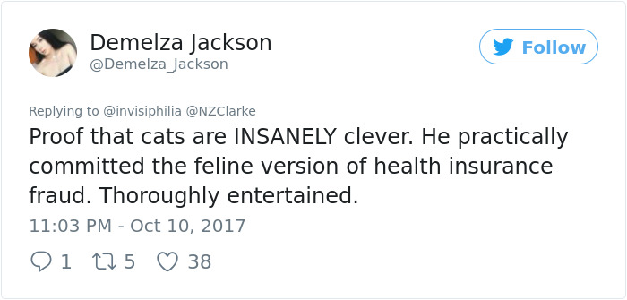 Man Accidentally Kidnaps Neighbour's Cat Thinking It Was His, And It Escalates Hilariously Man Accidentally Kidnaps Neighbour's Cat Thinking It Was His, And It Escalates Hilariously