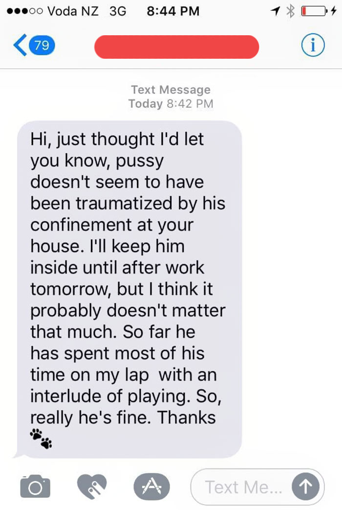 Man Accidentally Kidnaps Neighbour's Cat Thinking It Was His, And It Escalates Hilariously