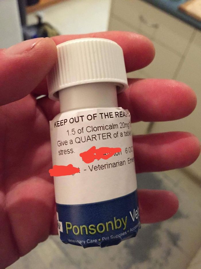 Man Accidentally Kidnaps Neighbour's Cat Thinking It Was His, And It Escalates Hilariously Man Accidentally Kidnaps Neighbour's Cat Thinking It Was His, And It Escalates Hilariously