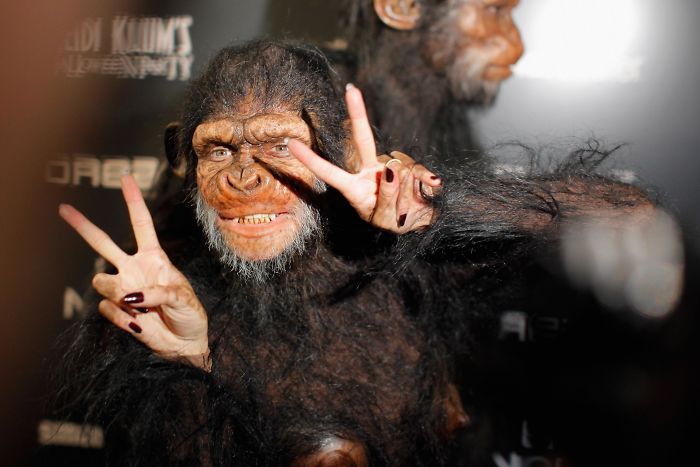 18 Times Heidi Klum Took Halloween Costumes To Another Level 18 Times Heidi Klum Took Halloween Costumes To Another Level