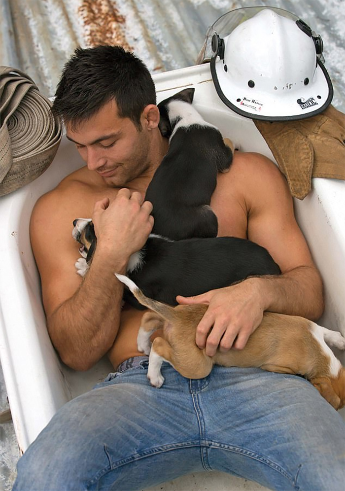 Australian Firefighters Pose With Animals For Charity, And The Photos Are So Hot It May Start Fires Australian Firefighters Pose With Animals For Charity, And The Photos Are So Hot It May Start Fires