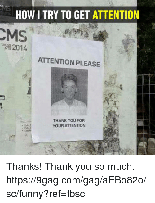 how-i-try-to-get-attention-2014-gress-nts-attention-28146326-59eac88eba342.png