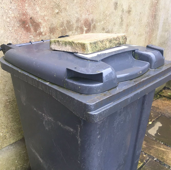 10+ Divertidas reacciones al huracán Ophelia que demuestran que los irlandeses están locos