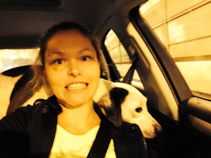 Didn't Realize She Would Try To Drive Herself To Her Furr-Ever Home!