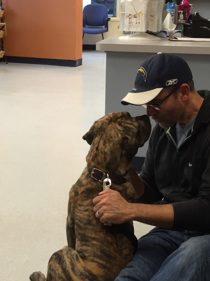 Taking Fitz Home From The Pound. Love At First Sight.