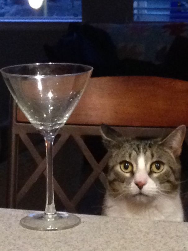 Face Of Pure Judgement