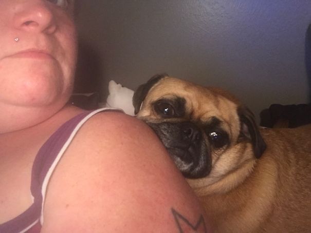 I Wanted To Lay Down On My Pillow, Fatty Had Her Own Plans.