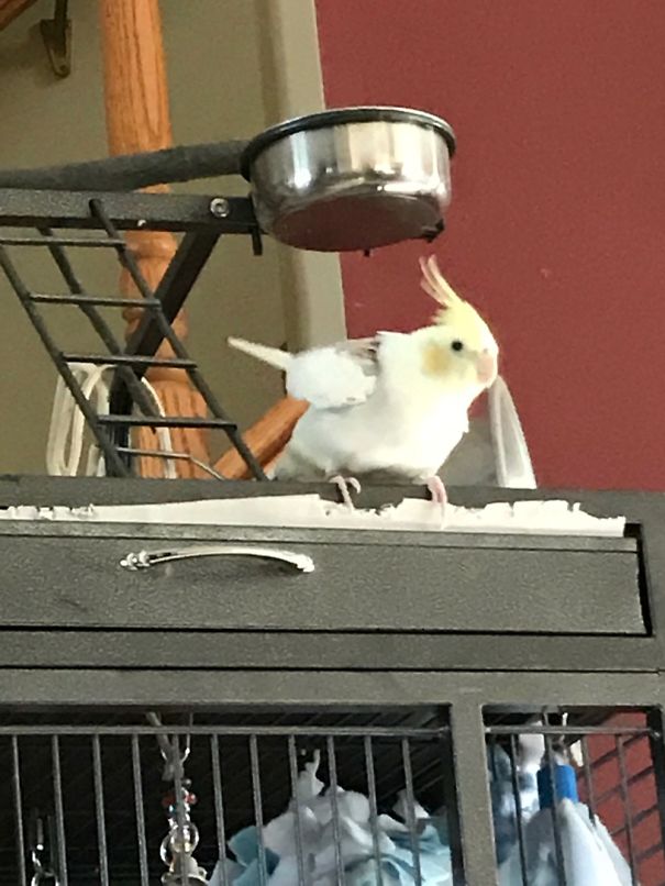 Right Before He Flew At My Camera Knocking It Out Of My Hands