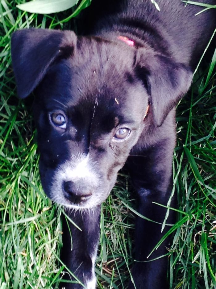 This Is Kiera When I First Found Her