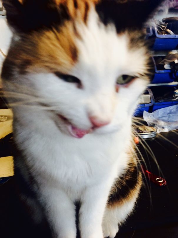 Just When I Was Taking The Picture She Moved And The Photo Became Like This