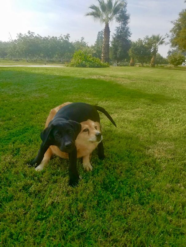 “i’m Walkin’ On Sunshine” (Literally)