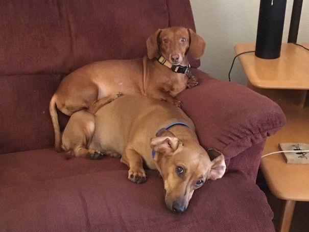 If You Sit In Rustys Spot, He Will Sit On You