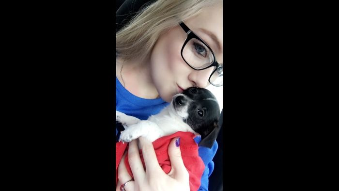 The Day I Met Hamilton ❤️❤️❤️❤️