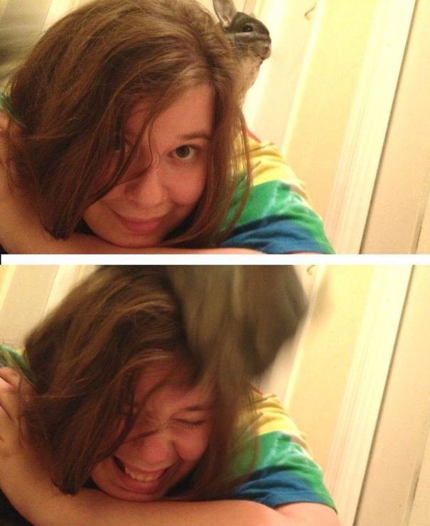 Chinchillin’ One Minute - Launching Herself Off My Head The Next...