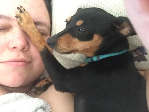 When I Get Up So Does Mini. She Doesn't Always Approve.