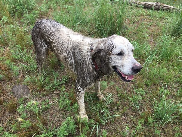 What Mud Puddle??